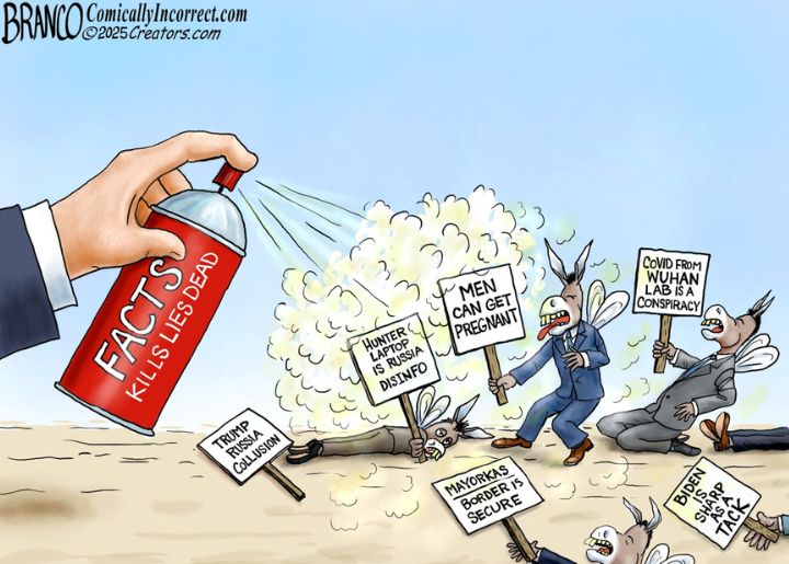 Kills Lies Dead
