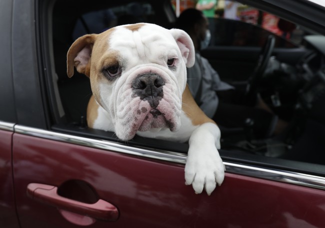 Dogging the Wrong Things for Their 'Climate Impact' – HotAir