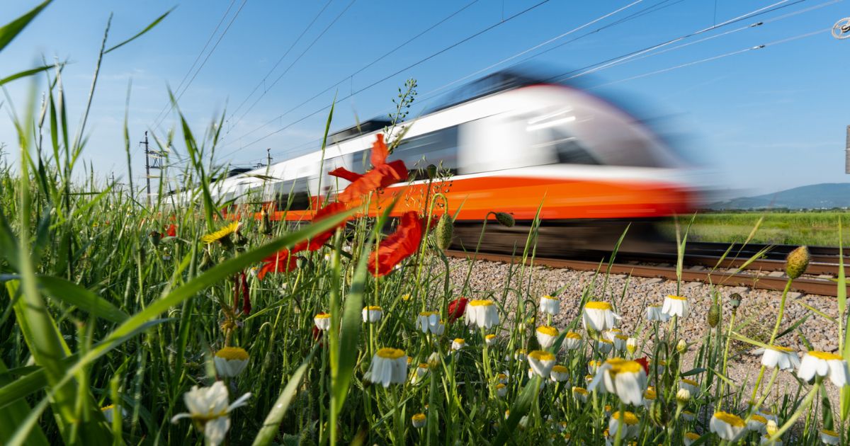 A man tried to ride on the outside of a high-speed train in Austria after it left without him, but he was soon pounding on windows for help.