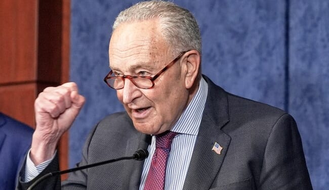 This One Photo Captures the Schumer Shutdown Perfectly – PJ Media