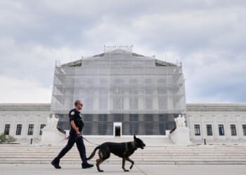 Supreme Court to kick off new 'Trump' term next week, legal experts say