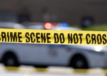 Hit-and-run driver crashes into a birthday party, killing a woman and injuring 8 kids in Maryland