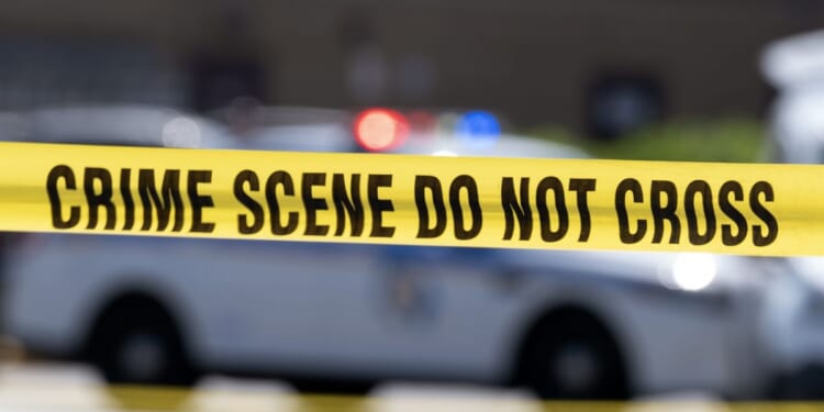 Hit-and-run driver crashes into a birthday party, killing a woman and injuring 8 kids in Maryland