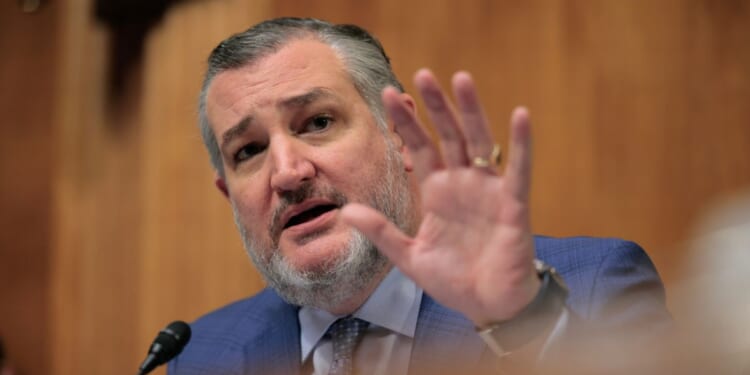 Sen. Ted Cruz speaks during a hearing in Washington, DC on June 3, 2025.