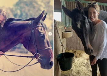 "Cinco was witness to every version of me and saw me through it all: high school, college, a young woman entering the world, single, dating, engaged, married, pregnant 3 times. Then he met all 3 of my kids," Katherine Schwarzenegger wrote in an Instagram tribute marking the death of the horse she's had since she was 11.