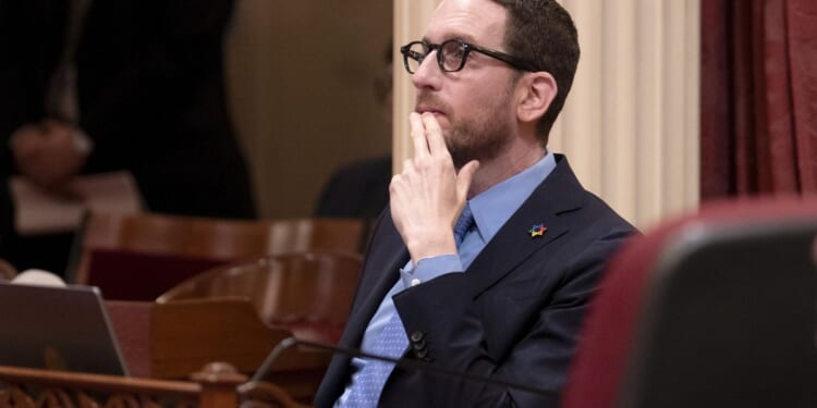 Tish Hyman tells Democrat Scott Wiener that transgender women are men