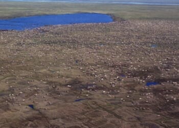 How Trump Reasserted America’s Control Over Energy – PJ Media