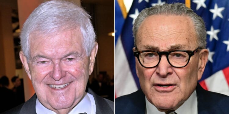 Former House Speaker Newt Gingrich, left, blames the ongoing government shutdown on Sen. Chuck Schumer, a New York Democrat, right. "Unfortunately, for the country -- and especially government employees – Schumer saw this as an opportunity to hold the entire country hostage to prove Democrats could get a supposed win," Gingrich said.