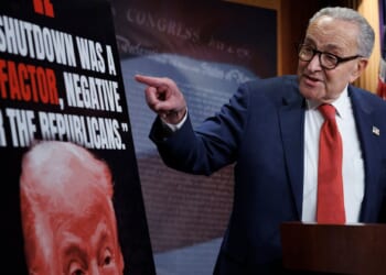 Why Democrats Love the Shutdown