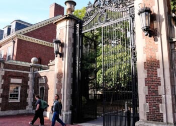 Immigration officers arrest Harvard professor who fired BB gun outside synagogue