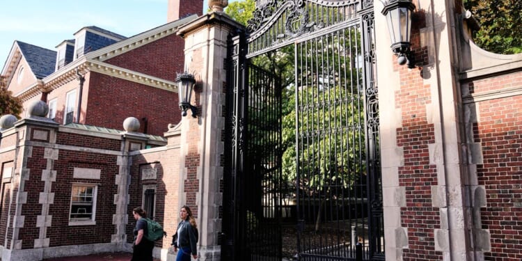 Immigration officers arrest Harvard professor who fired BB gun outside synagogue