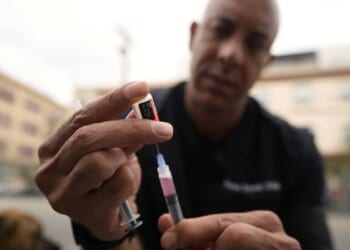 Rabies kills recipient of kidney transplant from donor infected by rabid skunk