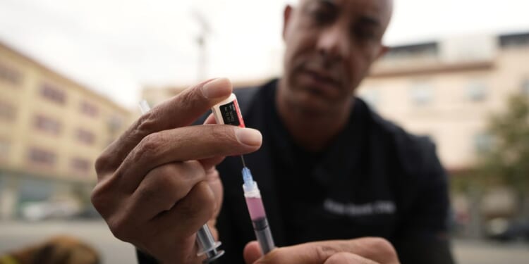 Rabies kills recipient of kidney transplant from donor infected by rabid skunk