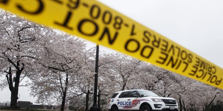 Man sentenced to 40 years for 2023 murder at D.C.'s Ivy City Hotel