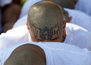 DHS Arrested 7,000 Gang Members in One Year – PJ Media