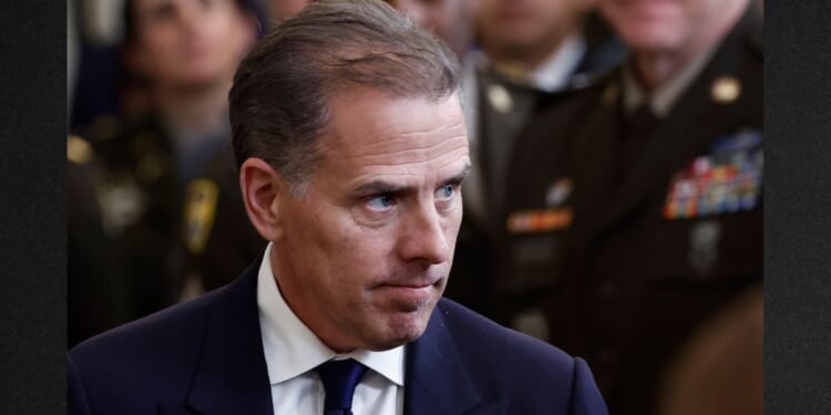 Hunter Biden, son of former President Joe Biden, seen in a 2024 photo, is once again facing a court battle, this time over his youngest known daughter.