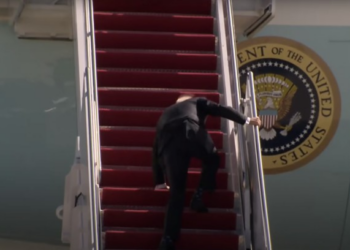 Panic, Politics, and Presidential Palms – PJ Media