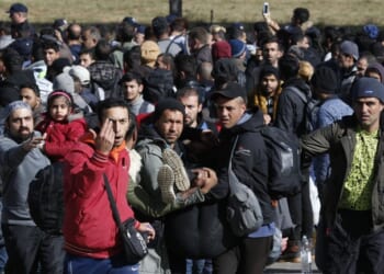 The Netherlands Housed Migrant Rapists With Students. Guess How That Turned Out. – PJ Media