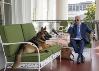 This X Post From 'Tough Guy' Joe Biden Didn't Age Well – PJ Media