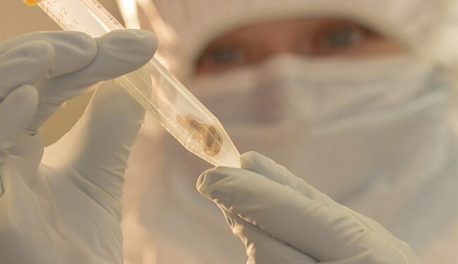 A Perfect Encapsulation of Why Nobody Trusts the Establishment Anymore – HotAir