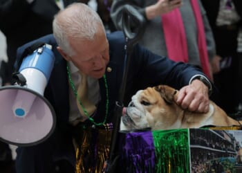 House Republicans Slam Senate for Dog Parade