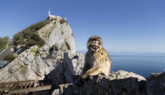 Starmer Sold Out Gibraltar, Too – HotAir