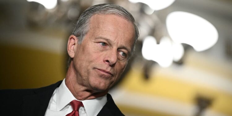 Senate Republicans 'Putting the Democrats on Record' on Voter ID