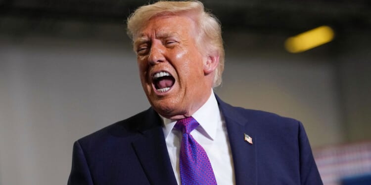 Trump Has a New Plan to Solve Homeland Security, Voter ID Disputes