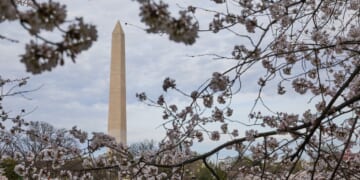 Things to do in and around Washington, D.C. this weekend: April 10-12