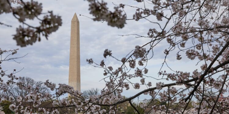 Things to do in and around Washington, D.C. this weekend: April 10-12
