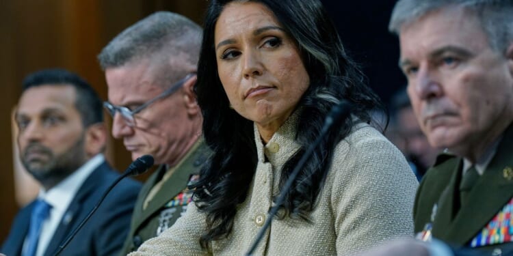 Gabbard asks DOJ to probe whistleblower who ignited 2019 Trump impeachment
