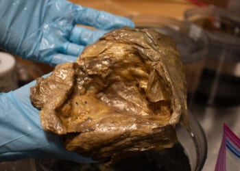 Scientists ID mysterious ‘golden orb’ found in Alaska depths