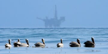 California Judge Overrules President Trump on Oil Production – HotAir