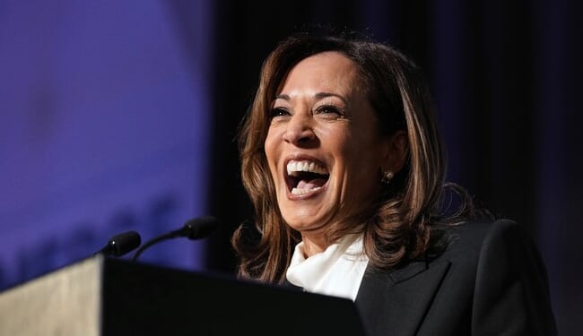 Dems Still Trying to Ditch Stage 5 Clinger Kamala Harris – PJ Media