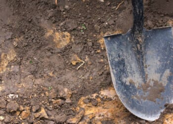 A close-up of a shovel in the dirt.