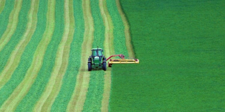 A House farm bill includes a provision affecting ranchers, setting up a possible showdown between rival factions of GOP lawmakers.