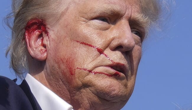 Is This the Stupidest Thing Ever Written About MAGA? – PJ Media