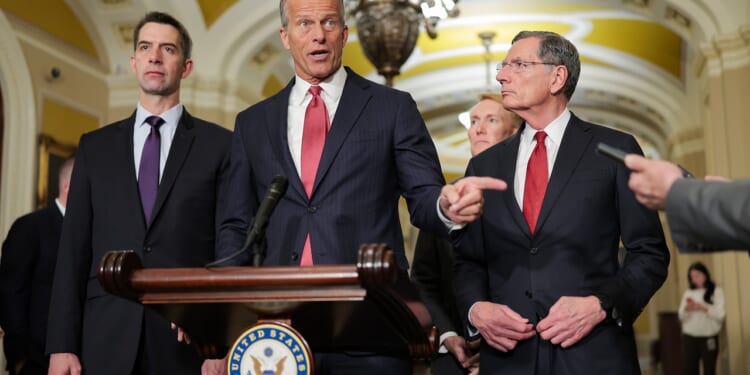 The House Should Fatten the Boney Reconciliation Bill