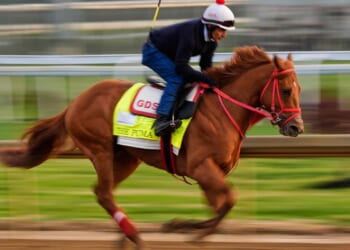 Kentucky Derby is down to 19 horses