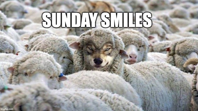 Sunday Smiles – HotAir