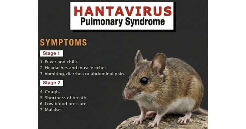  Andes hantavirus has been shown to spread person-to-person. Add that to a confined ship, shared air systems, and weeks of silent incubation, and you have a perfect storm.
