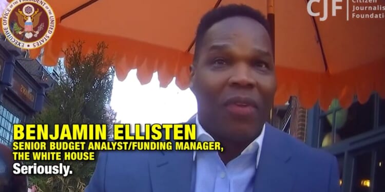A man identified as a White House senior budget analyst appeared on hidden camera insisting that "We've got to get rid of" President Donald Trump.