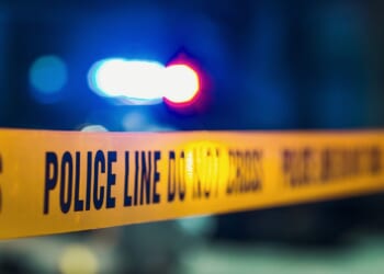 Police arrest son of James Handy’s girlfriend in actor’s stabbing death in L.A.