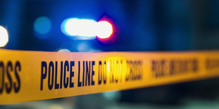 Police arrest son of James Handy’s girlfriend in actor’s stabbing death in L.A.