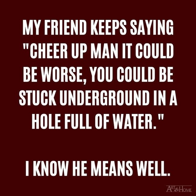 Meanswell
