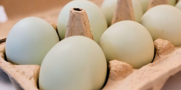 Egg producers will pay $3.3 million, donate 53 million eggs to settle price-fixing claims