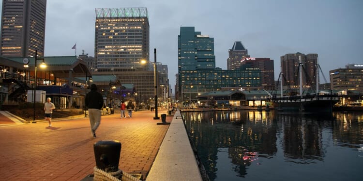 Maryland environmental officials investigating mass fish kill in Baltimore’s Inner Harbor
