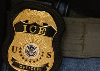 Man fleeing immigration officers in Florida is struck and killed by tractor trailer, police say