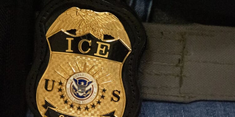 Man fleeing immigration officers in Florida is struck and killed by tractor trailer, police say