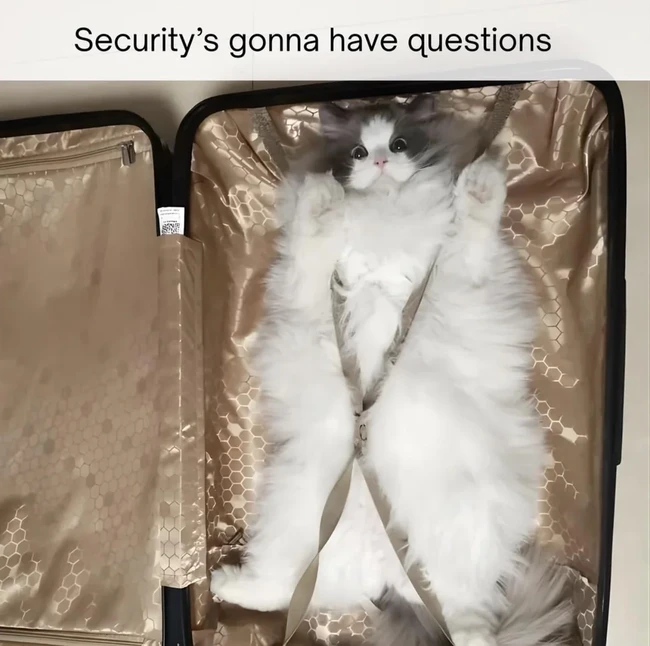 Securitys